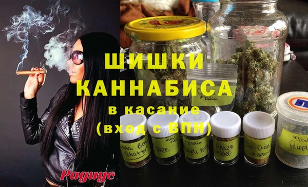 ГАЛЛЮЦИНОГЕННЫЕ ГРИБЫ Аркадак